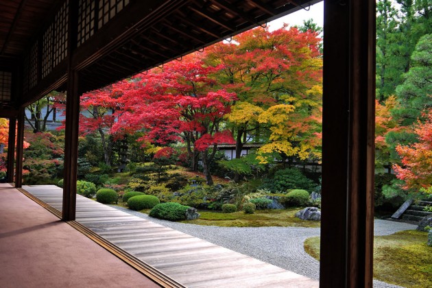 sennyuji3